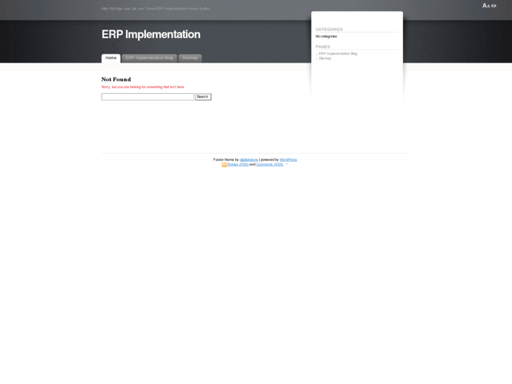 www.erpimplementation.info