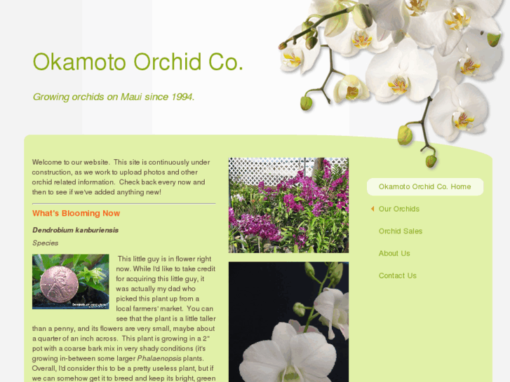 www.okamotoorchidco.net