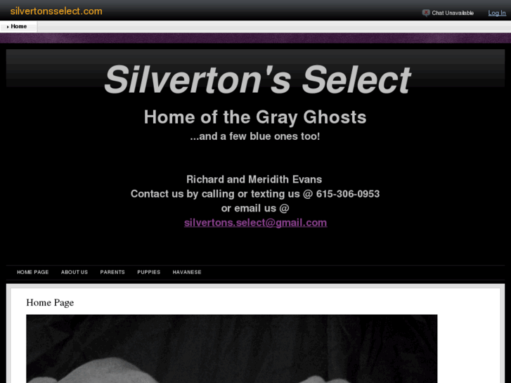 www.silvertonsselect.com