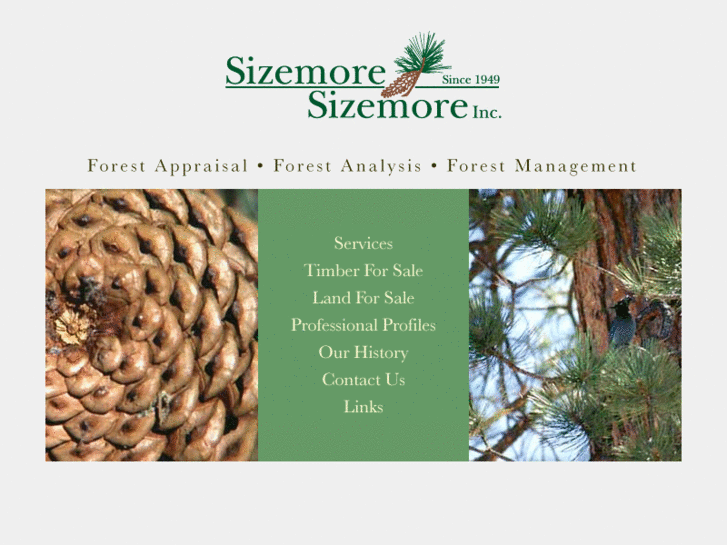 www.sizemore1949.com