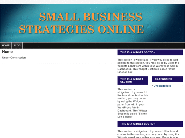 www.smallbusinessstrategiesonline.com