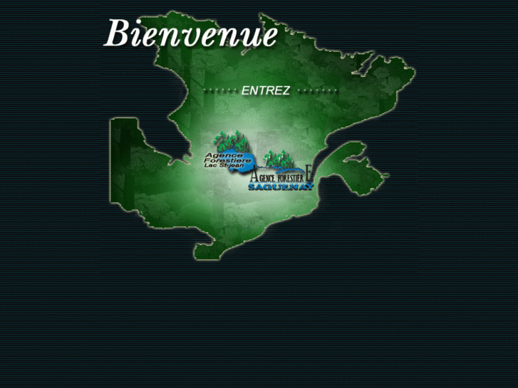 www.agencesforestieressaglac.com