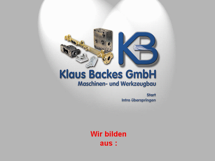 www.backesgmbh.de