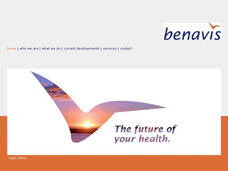 www.benavis.net