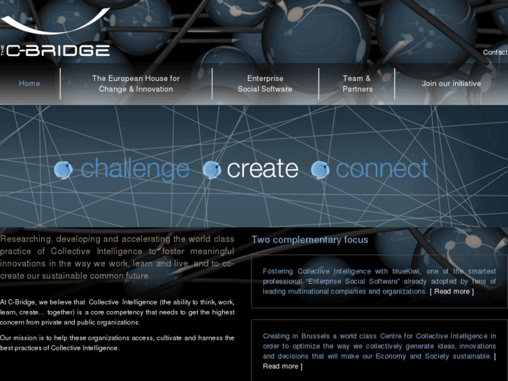 www.c-bridge.eu