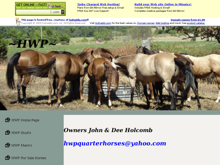 www.hwpquarterhorses.com