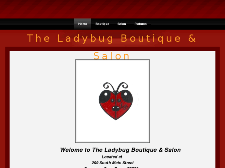 www.ladybugboutiqueandsalon.com