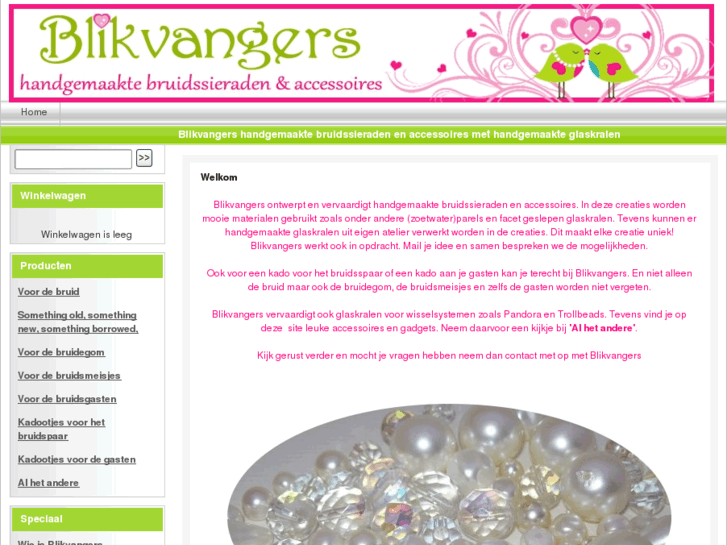 www.blikvangers.net