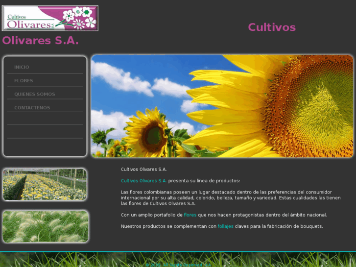 www.cultivosolivares.com