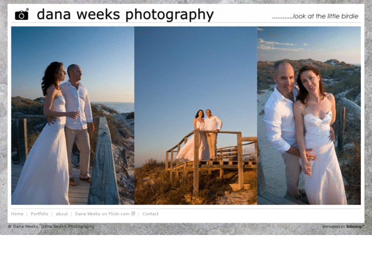 www.danaweeks.com