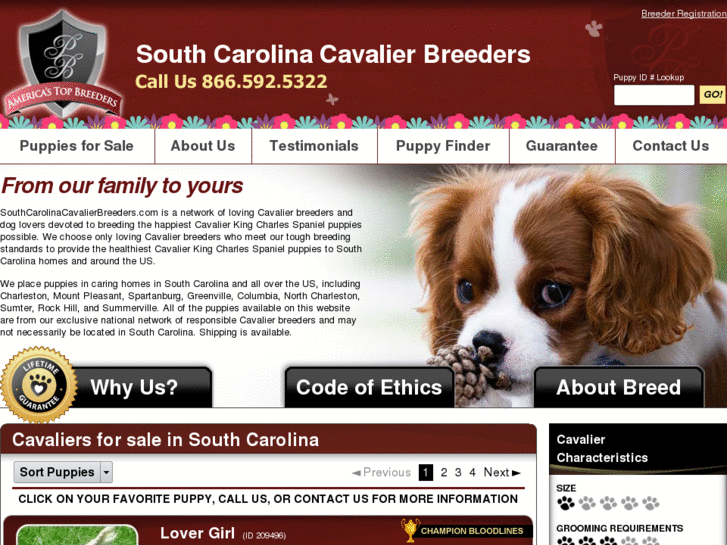 www.southcarolinacavalierbreeders.com