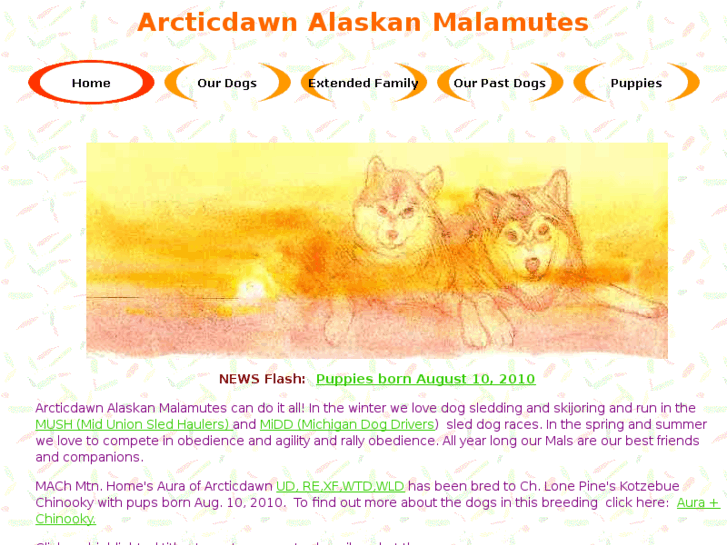 www.arcticdawn.com