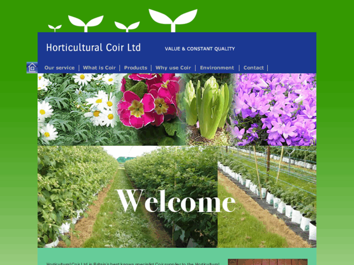 www.coirtrade.com