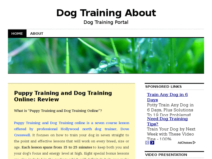 www.dogtrainingabout.com