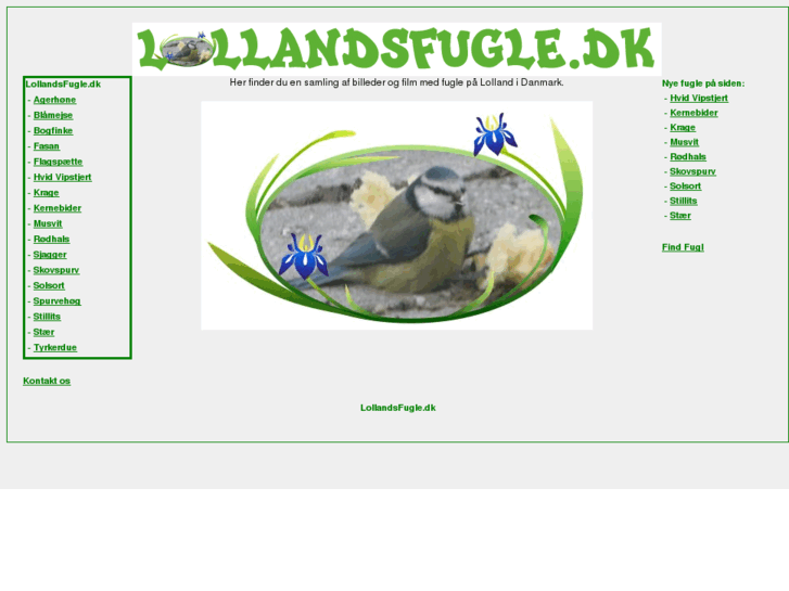 www.lollandsfugle.dk