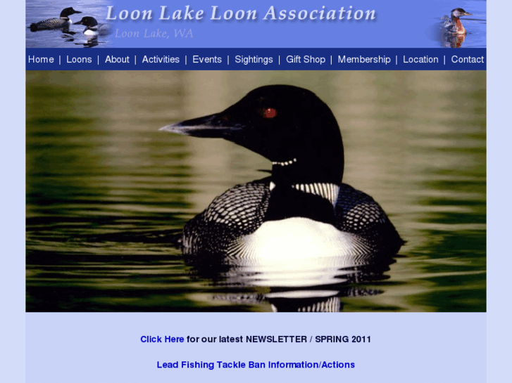 www.loons.org