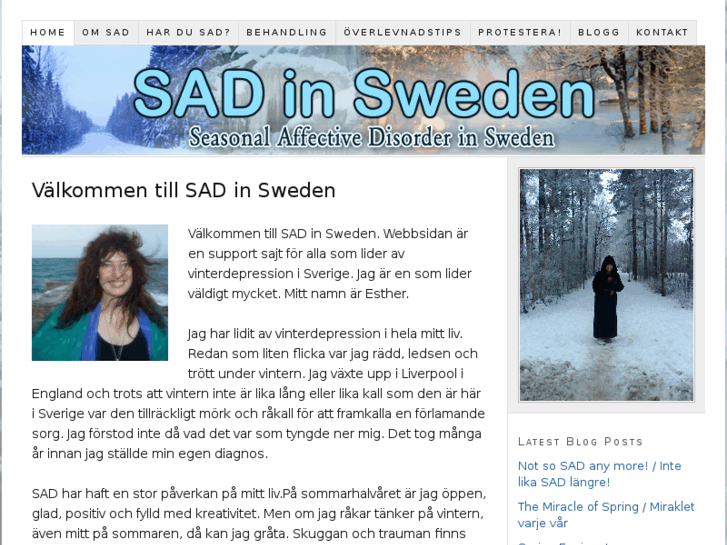 www.sadinsweden.com