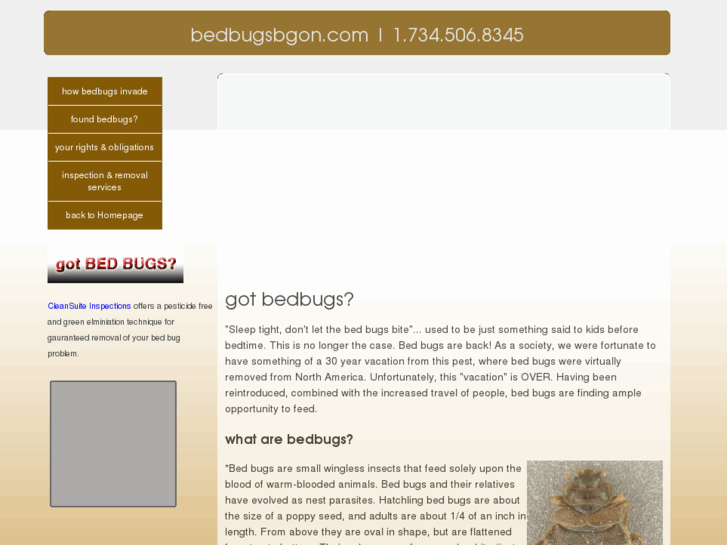 www.bedbugsbgon.com