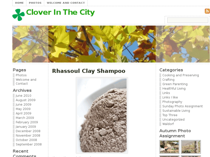 www.cloverinthecity.com