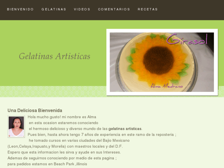 www.gelatinaartisticas.com