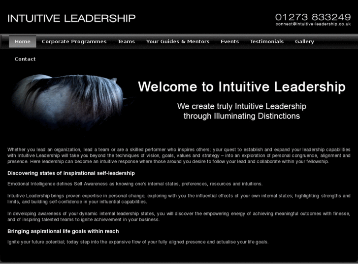 www.intuitive-leadership.org