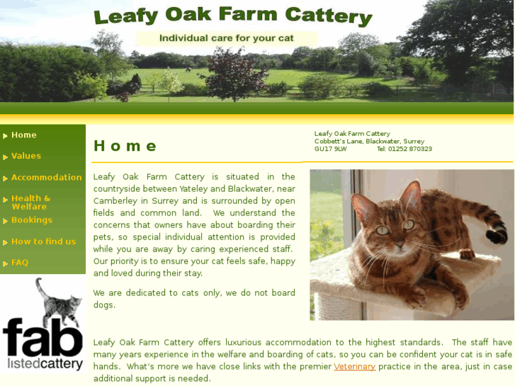 www.leafyoakfarmcattery.com