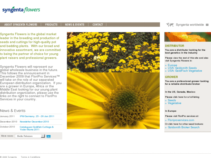 www.syngenta-flowers.com