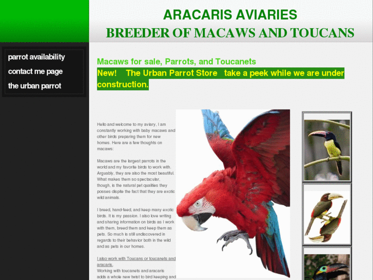 www.theurbanparrot.com