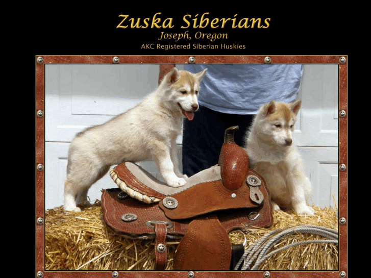 www.zuskasiberians.com