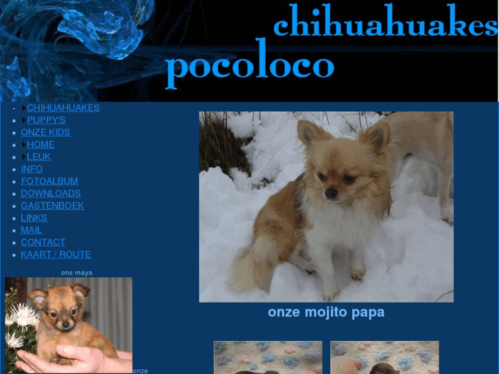 www.chihuahuakespocoloco.com