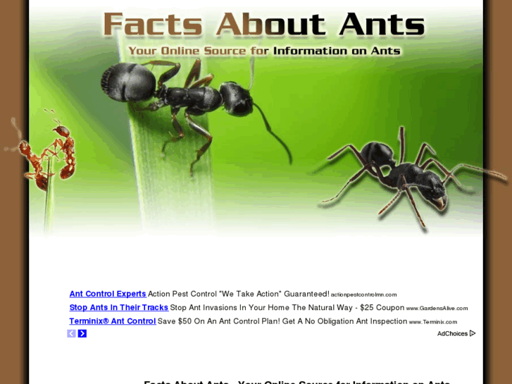 www.factsaboutants.net