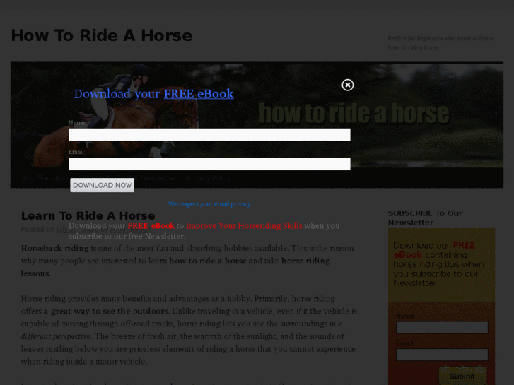 www.howtorideahorses.com