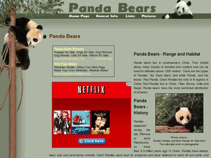 www.panda-bears.org