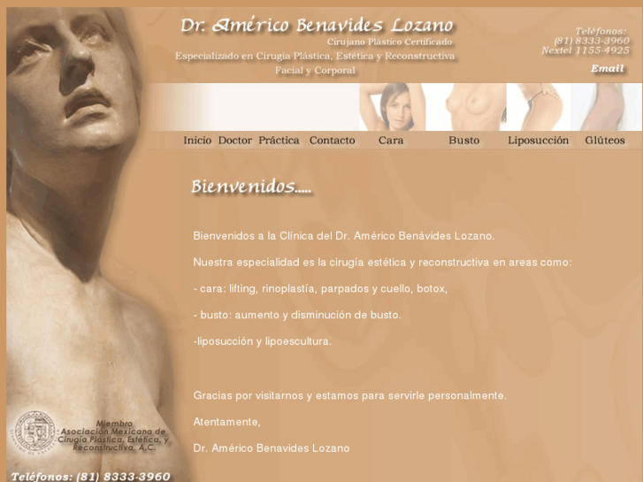 www.americobenavides.com