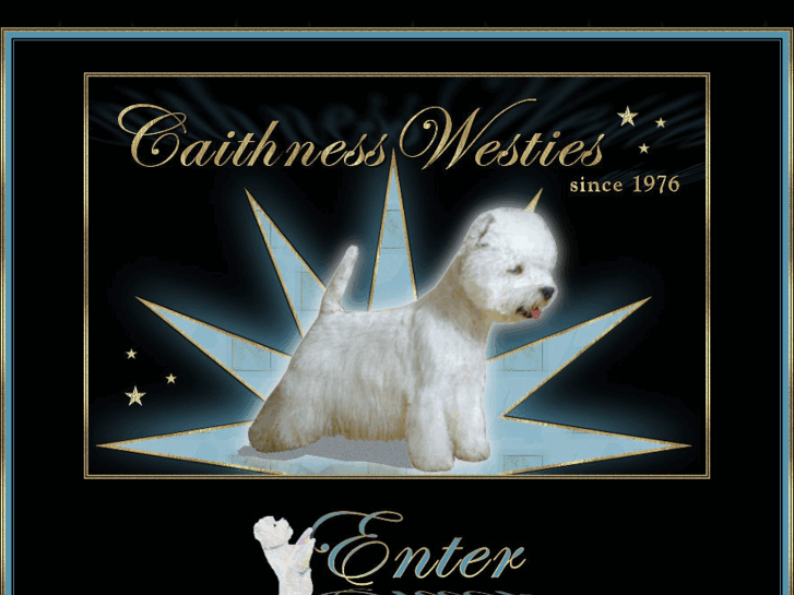 www.caithnesswesties.com