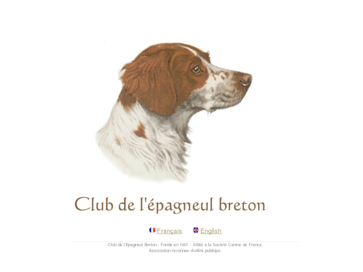 www.epagneul-breton.ws