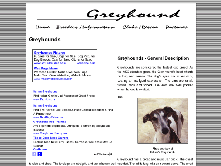 www.greyhound-dogs.com