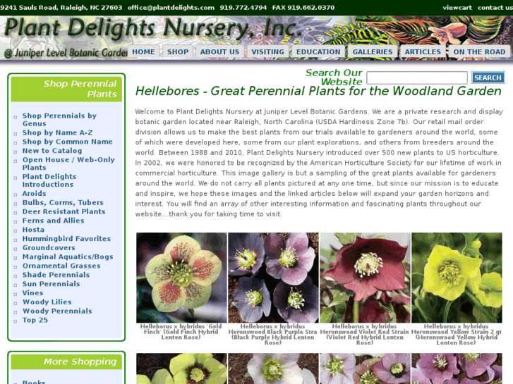 www.helleborehelleborehellebore.com