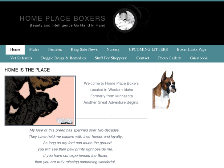 www.homeplaceboxers.com