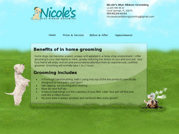 www.nicolesbrgrooming.com