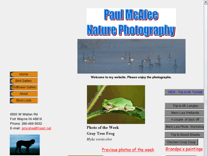 www.paulmcafeenaturephoto.com