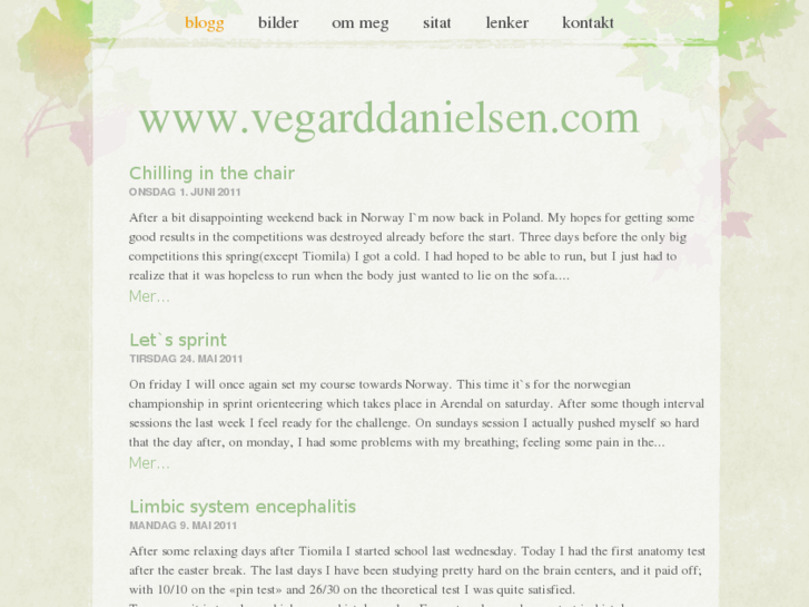 www.vegarddanielsen.com