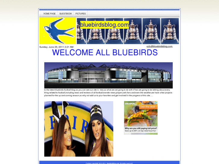 www.bluebirdsblog.com