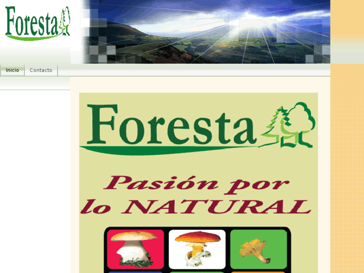 www.eforesta.es