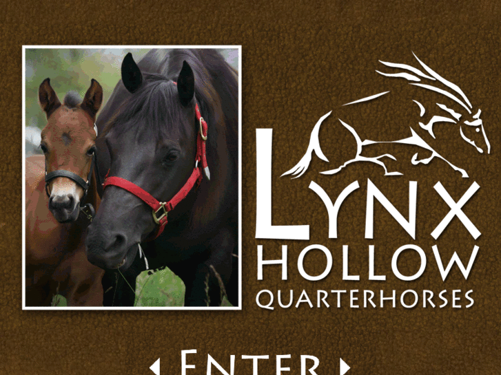 www.lynxhollowquarterhorses.com