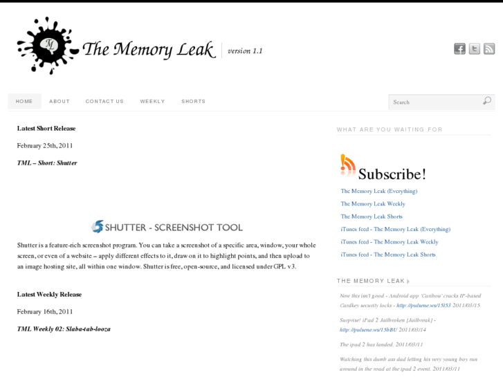 www.thememoryleak.com