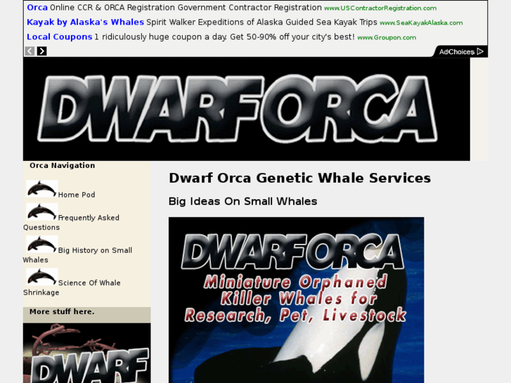 www.dwarforca.com