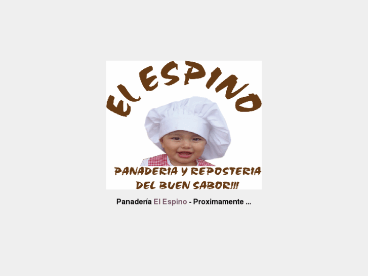 www.elespinocr.com