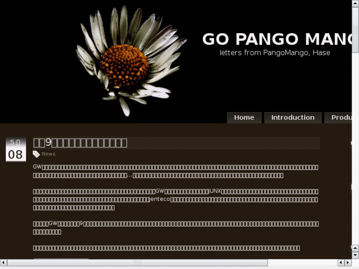 www.pangomango.net