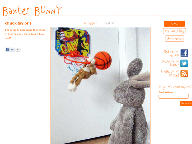 www.thebaxterbunny.com